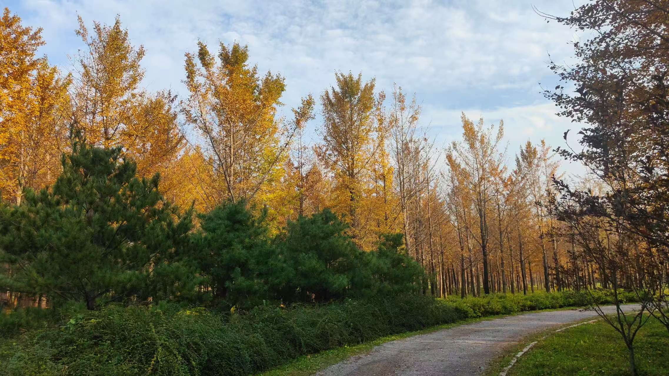 湖南中信与东华软件签署战略合作协议